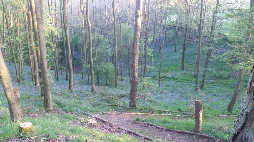 Low Nook Farm Holiday Cottage Brampton  Esterno foto